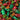 Galeries d'Orient Gelées Papillotées aux Fruits, bonbons gélifiés aux fruits en papillotes rouges, vertes et dorées, sans gélatine.